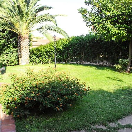 Domus Dams B&B Montescaglioso Exterior photo