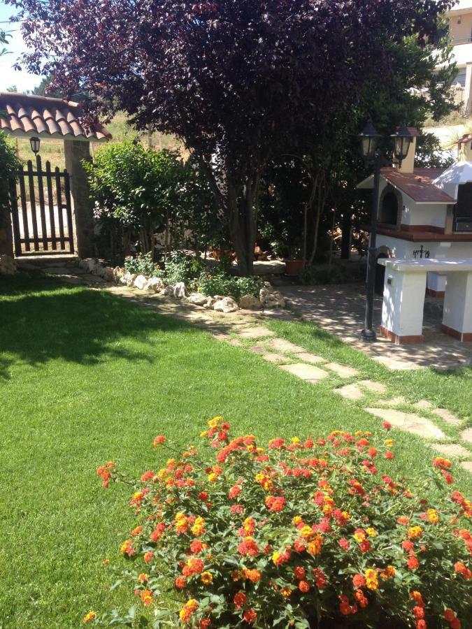 Domus Dams B&B Montescaglioso Exterior photo